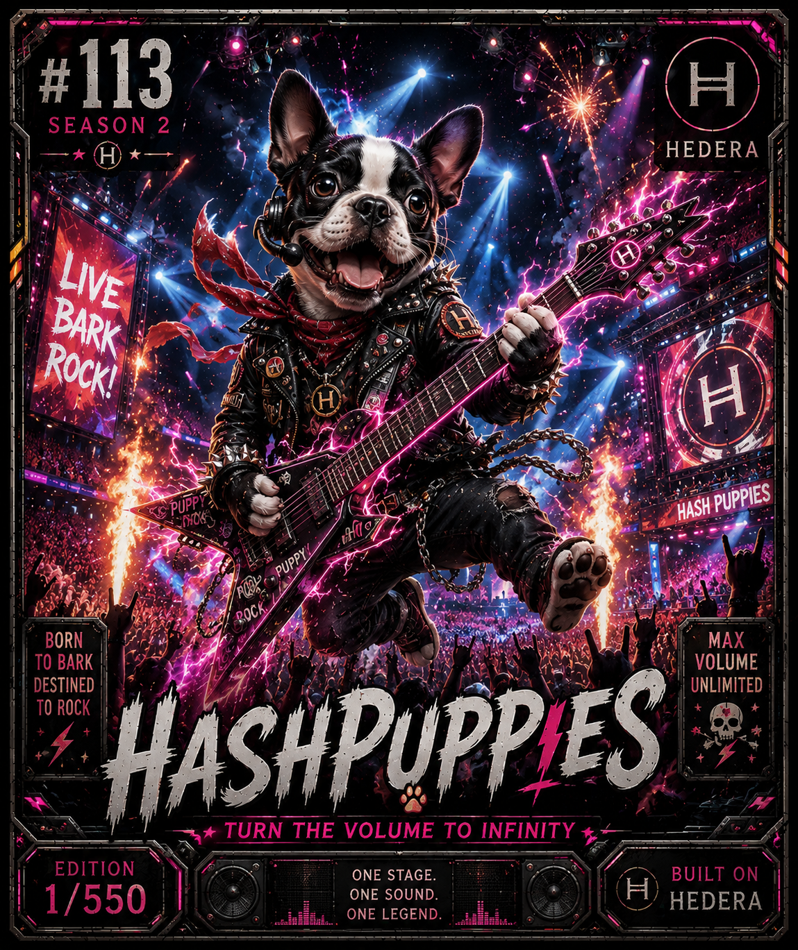 NFT Hashpuppies #113