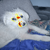 NFT NOAH #1 from DISCO PUPPY